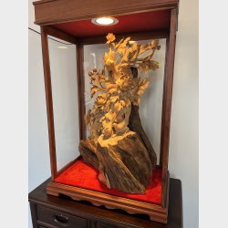 Fugle i oile holdigt tr� 2