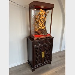 Fugle i oile holdigt tr� 2